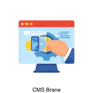 Купить CMS Brane - ARPP-16382 из реестра по лучшей цене