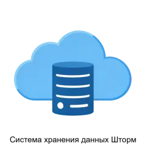 Купить Система хранения данных Шторм - ARPP-16626 из реестра по лучшей цене