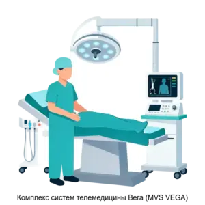 Купить Комплекс систем телемедицины Вега (MVS VEGA) - ARPP-16761 из реестра по лучшей цене