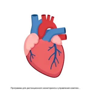 Купить Программа для дистанционного мониторинга и управления комплексом механической поддержки насосной функции левого и правого желудочков сердца СтримКардио - ARPP-17613 из реестра по лучшей цене