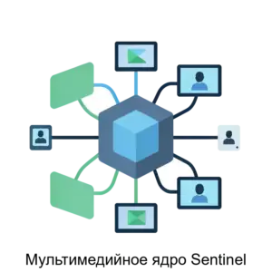 Купить Мультимедийное ядро Sentinel - ARPP-17619 из реестра по лучшей цене