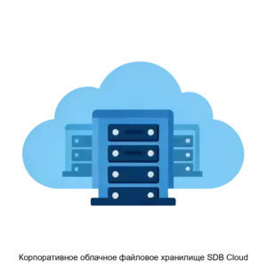 Купить Корпоративное облачное файловое хранилище SDB Cloud - ARPP-18835 из реестра по лучшей цене