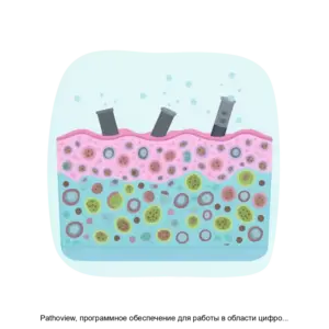 Купить Pathoview, программное обеспечение для работы в области цифровой микроскопии - ARPP-18172 из реестра по лучшей цене