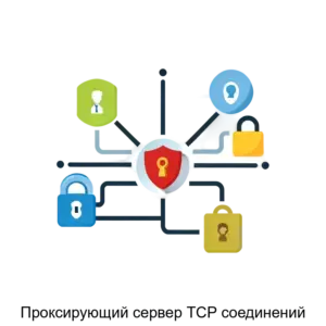 Купить Проксирующий сервер TCP соединений - ARPP-18032 из реестра по лучшей цене