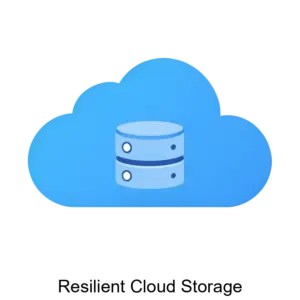 Купить Resilient Cloud Storage - MKS-ARSI-14272 из реестра по лучшей цене