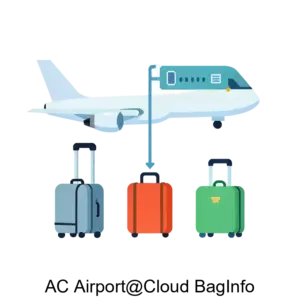 Купить АС Airport@Cloud BagInfo - ARPP-18563 из реестра по лучшей цене