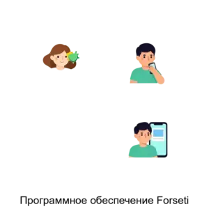 Купить Программное обеспечение Forseti - ARPP-18455 из реестра по лучшей цене