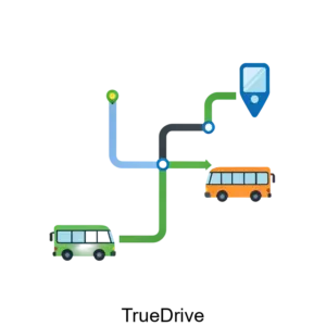 Купить TrueDrive - ARPP-19975 из реестра по лучшей цене