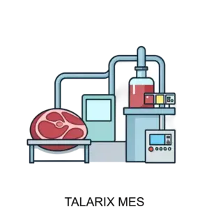 Купить TALARIX MES - ARPP-18943 из реестра по лучшей цене