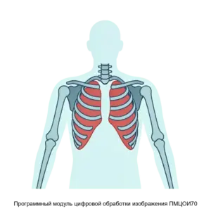 Купить Программный модуль цифровой обработки изображения ПМЦОИ70 - ARPP-20062 из реестра по лучшей цене