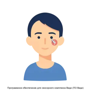 Купить Программное обеспечение для сенсорного комплекса Веди (ПО Веди) - ARPP-20091 из реестра по лучшей цене