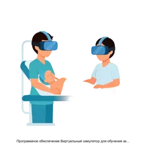 Купить Программное обеспечение Виртуальный симулятор для обучения акушерству и гинекологии - ARPP-20110 из реестра по лучшей цене