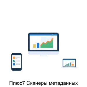 Купить Плюс7 Сканеры метаданных - ARPP-20333 из реестра по лучшей цене