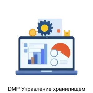 Купить DMP Управление хранилищем - ARPP-20362 из реестра по лучшей цене
