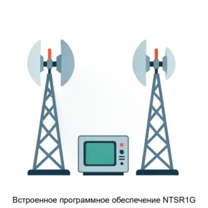 Купить Встроенное программное обеспечение NTSR1G - ARPP-20372 из реестра по лучшей цене