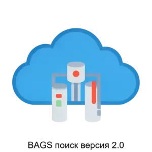 Купить BAGS поиск версия 2.0 - ARPP-20572 из реестра по лучшей цене