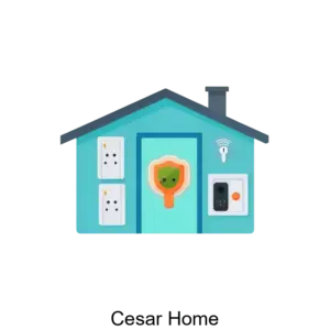 Купить Cesar Home - ARPP-20721 из реестра по лучшей цене