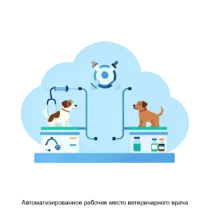 Купить Автоматизированное рабочее место ветеринарного врача - MKS-MART-14419 из реестра по лучшей цене