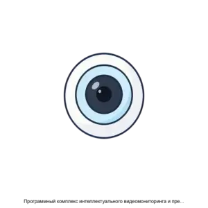 Купить Программный комплекс интеллектуального видеомониторинга и превентивного реагирования VIDEOFOR 2.0 - ARPP-21172 из реестра по лучшей цене