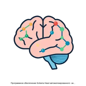 Купить Программное обеспечение Sciberia Head автоматизированного  анализа медицинских изображений компьютерной томографии области  головного мозга - ARPP-21215 из реестра по лучшей цене