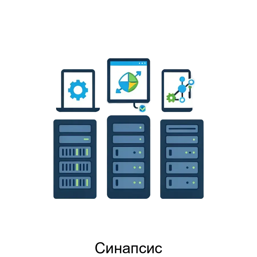 Данный продукт, Синапсис, представляет собой мощное решение для удаленного доступа и управления инфраструктурой с установленным программным обеспечением. Основная задача: удалённый IT-сервис управления инфраструктурой.