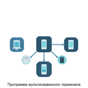 Купить Программа мультисервисного терминала - ARPP-21480 из реестра по лучшей цене
