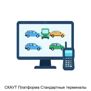 Купить СКАУТ Платформа Стандартные терминалы - MKS-INTE-14539 из реестра по лучшей цене