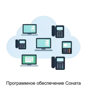 Купить Программное обеспечение Соната - ARPP-22201 из реестра по лучшей цене