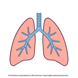 Купить Встроенное программное обеспечение спирографа микропроцессорного СМП02РД - ARPP-24025 из реестра по лучшей цене