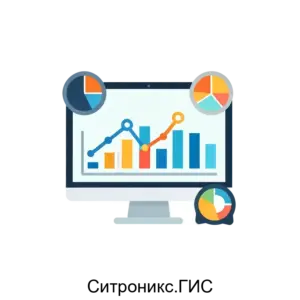 Купить Ситроникс.ГИС - ARPP-23369 из реестра по лучшей цене