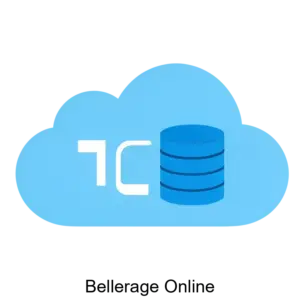 Купить Bellerage Online - ARPP-22414 из реестра по лучшей цене