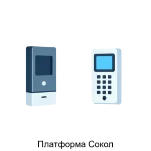 Купить Платформа Сокол - ARPP-23071 из реестра по лучшей цене