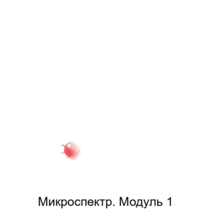 Купить Микроспектр. Модуль 1 - ARPP-23280 из реестра по лучшей цене