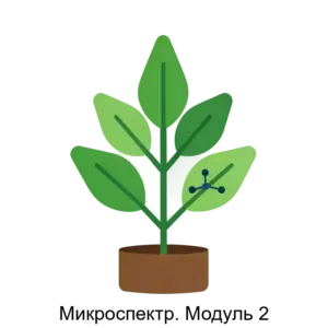 Купить Микроспектр. Модуль 2 - ARPP-23282 из реестра по лучшей цене