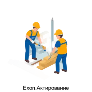 Купить Exon.Актирование - ARPP-22358 из реестра по лучшей цене