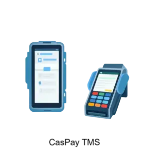 Купить CasPay TMS - ARPP-22451 из реестра по лучшей цене