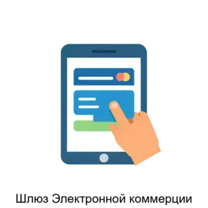 Купить Шлюз Электронной коммерции - ARPP-22998 из реестра по лучшей цене