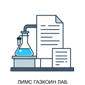 Купить ЛИМС ГАЗКОИН ЛАБ - ARPP-22828 из реестра по лучшей цене