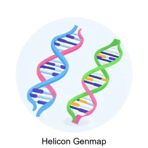 Купить Helicon Genmap - ARPP-22458 из реестра по лучшей цене