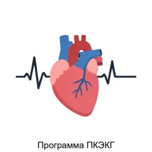 Купить Программа ПКЭКГ - ARPP-23572 из реестра по лучшей цене