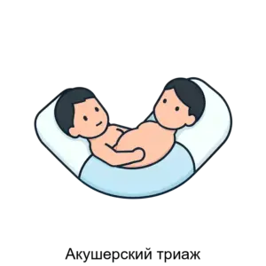 Купить Акушерский триаж - ARPP-23748 из реестра по лучшей цене