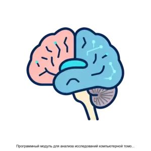 Купить Программный модуль для анализа исследований компьютерной томографии головного мозга - ARPP-22318 из реестра по лучшей цене