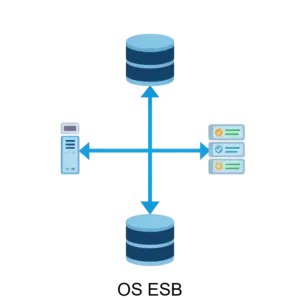 Купить OS ESB - ARPP-R-248429 из реестра по лучшей цене