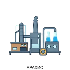 Купить АРАХИС - ARPP-R-791552 из реестра по лучшей цене