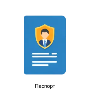 Купить Паспорт - MKS-LABO-14872 из реестра по лучшей цене