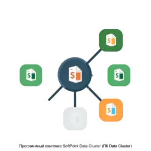 Купить Программный комплекс SoftPoint Data Cluster (ПК Data Cluster) - MKS-KLAS-15471 из реестра по лучшей цене