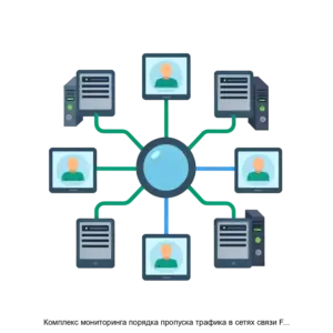 Купить Комплекс мониторинга порядка пропуска трафика в сетях связи FHS 01 - MKS-MFIS-15562 из реестра по лучшей цене