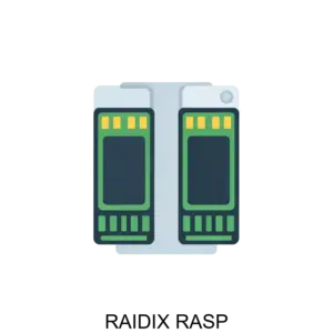 Купить RAIDIX RASP - MKS-REYD-15878 из реестра по лучшей цене