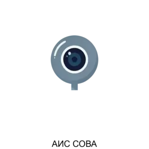 Купить АИС СОВА - MKS-KRIP-16197 из реестра по лучшей цене