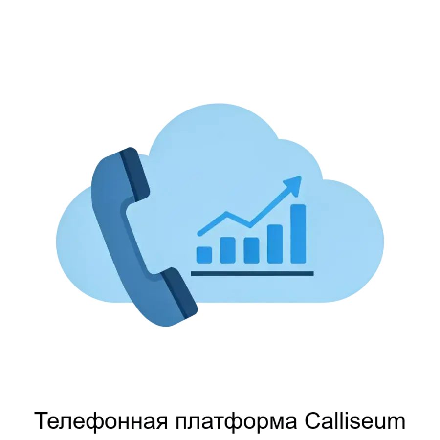 Телефонная платформа Calliseum представляет собой мощное решение для бизнеса, предназначенное для оптимизации процессов коммуникации и повышения эффективности деловых взаимодействий.